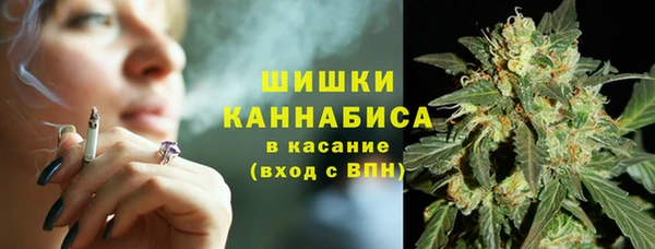 шишки Дмитров
