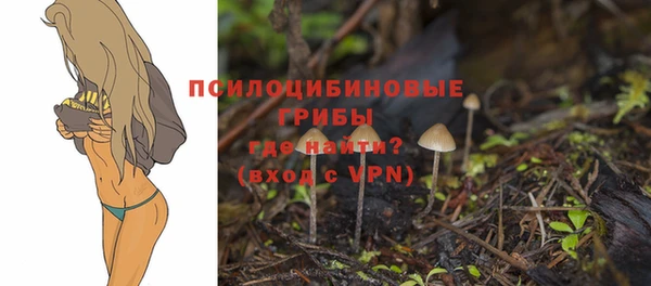 шишки Дмитров