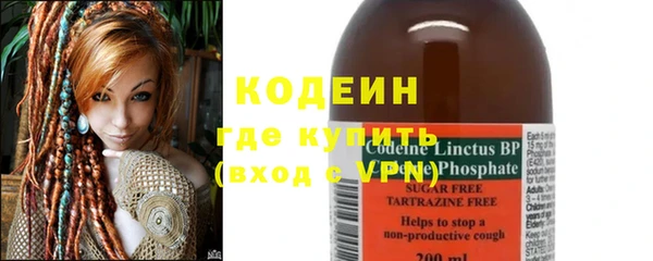 шишки Дмитров