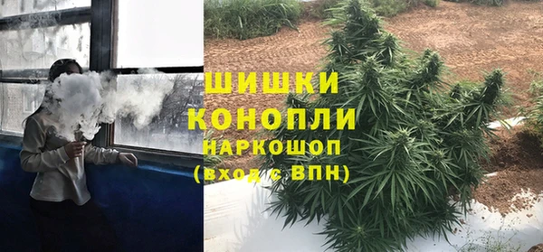 шишки Дмитров