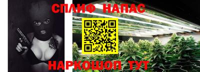 прущие грибы Абинск
