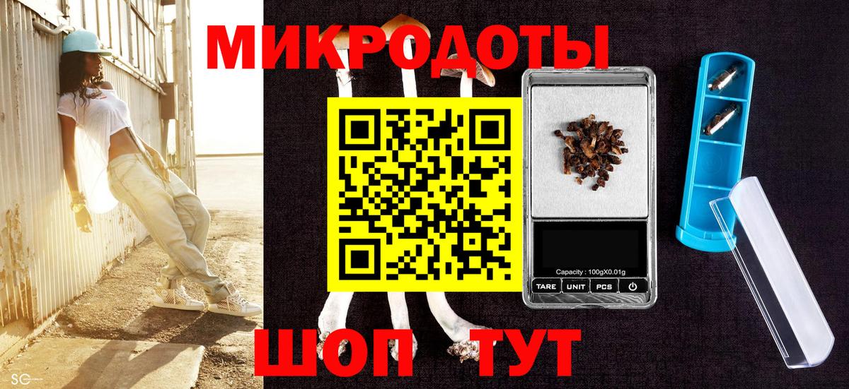 закладка  Галлюциногенные грибы MAGIC MUSHROOMS  Вход с VPN  Ноябрьск 