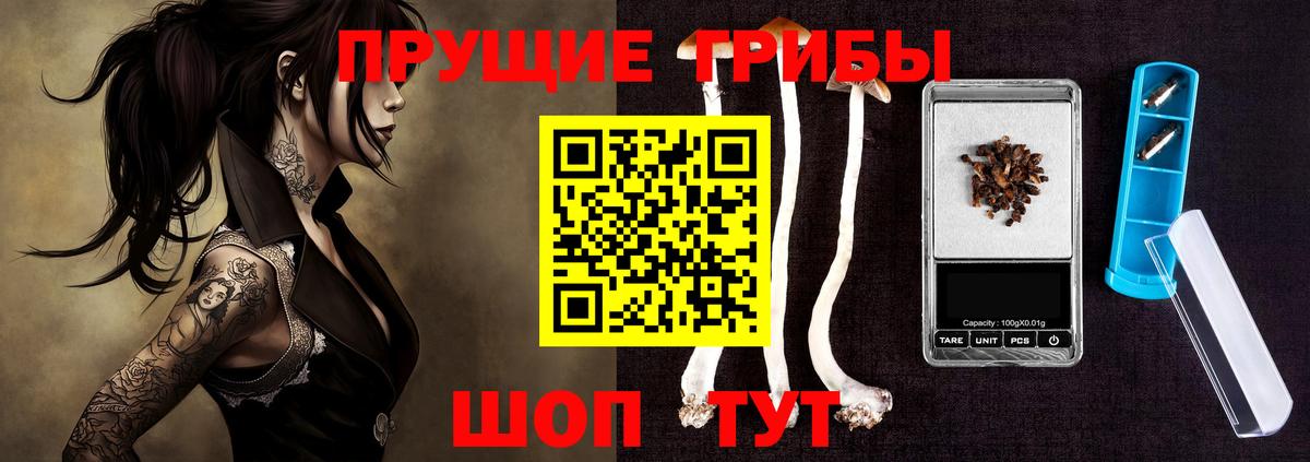Псилоцибиновые грибы Psilocybine cubensis  Галлюциногенные грибы Cubensis  Вход с VPN  Ноябрьск 